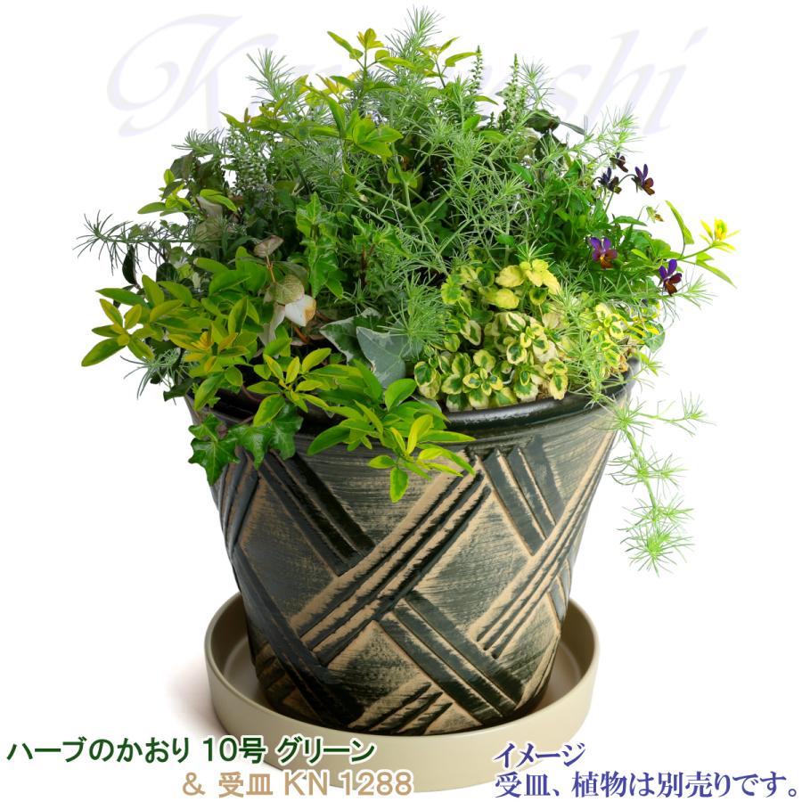 植木鉢 おしゃれ 安い 陶器 サイズ 31cm ハーブのかおり 10号 グリーン 室内 屋外 緑 色 |  | 10