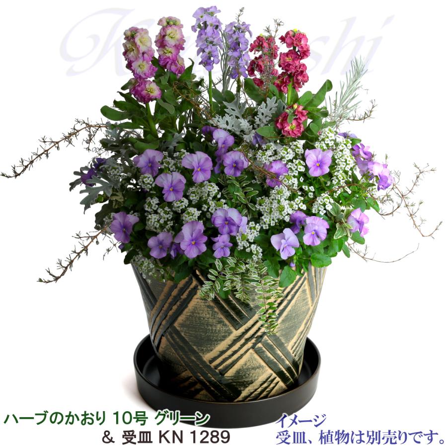 植木鉢 おしゃれ 安い 陶器 サイズ 31cm ハーブのかおり 10号 グリーン 室内 屋外 緑 色 |  | 11