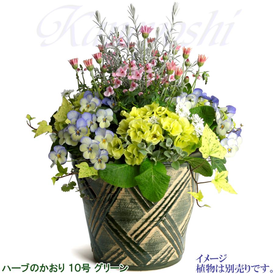 植木鉢 おしゃれ 安い 陶器 サイズ 31cm ハーブのかおり 10号 グリーン 室内 屋外 緑 色 |  | 08