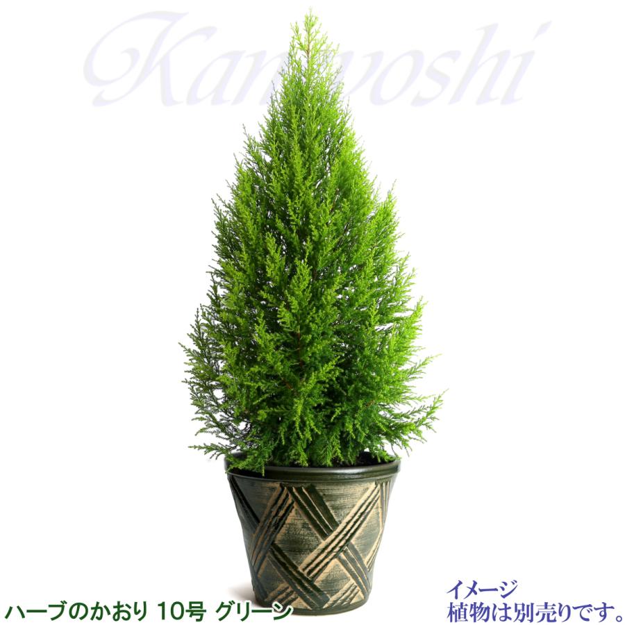 植木鉢 おしゃれ 安い 陶器 サイズ 31cm ハーブのかおり 10号 グリーン 室内 屋外 緑 色 |  | 09