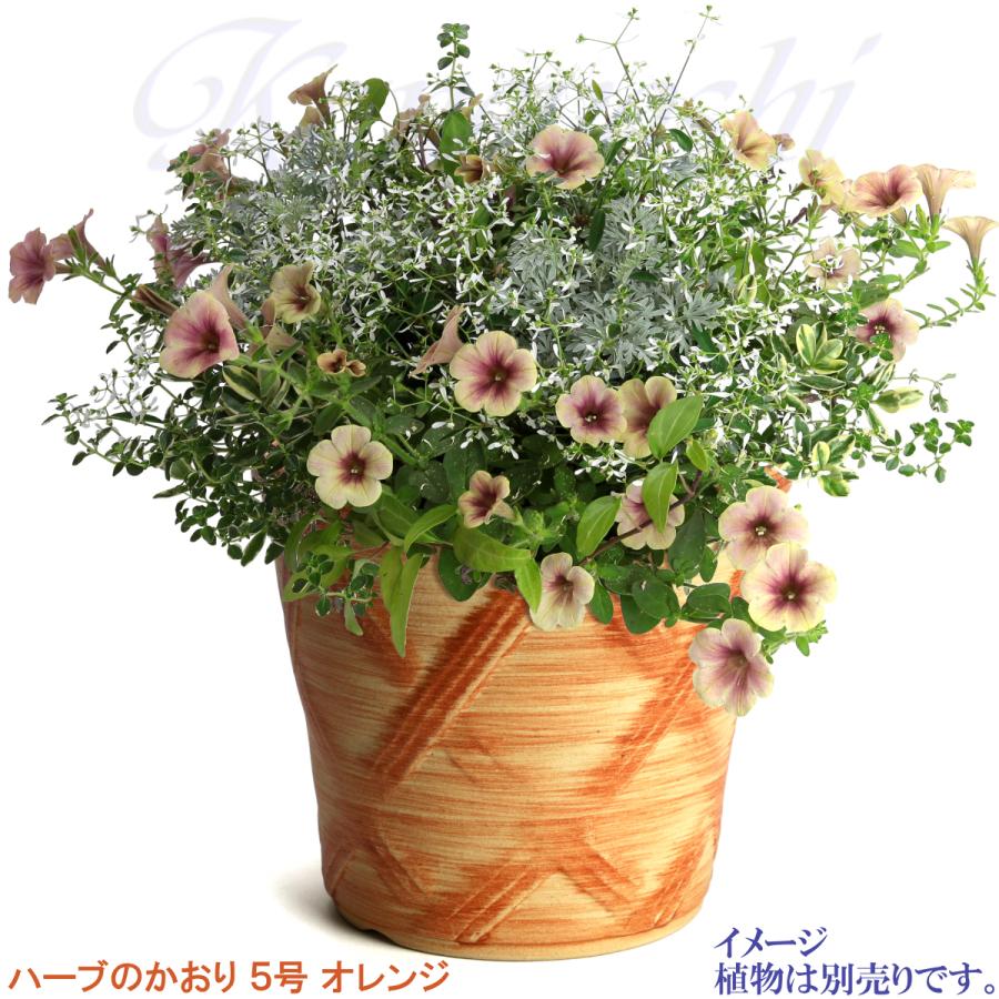 植木鉢 おしゃれ 安い 陶器 サイズ 16cm ハーブのかおり 5号 オレンジ 室内 屋外 レンガ 色 |  | 10