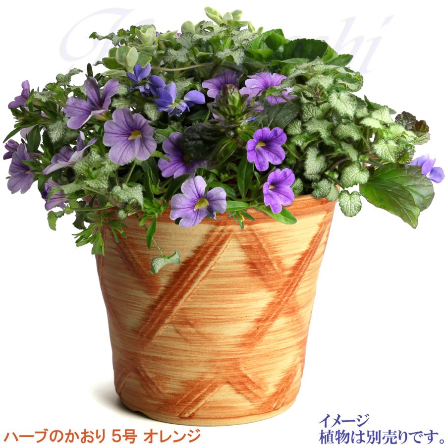 植木鉢 おしゃれ 安い 陶器 サイズ 16cm ハーブのかおり 5号 オレンジ 室内 屋外 レンガ 色 |  | 11