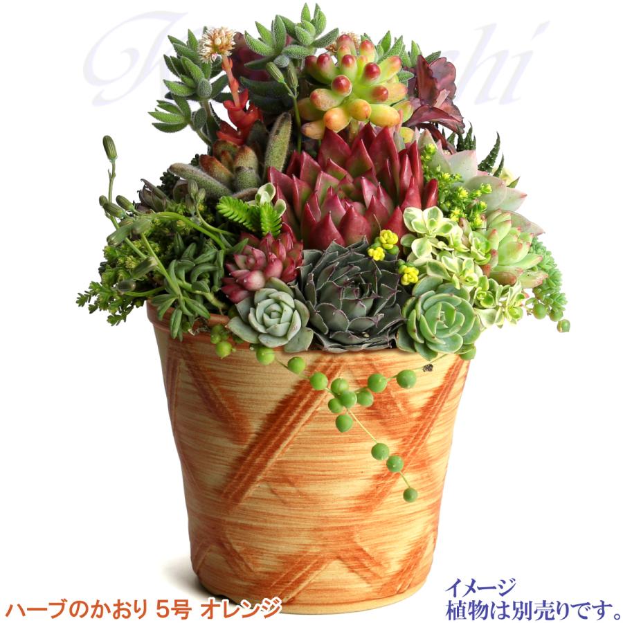 植木鉢 おしゃれ 安い 陶器 サイズ 16cm ハーブのかおり 5号 オレンジ 室内 屋外 レンガ 色 |  | 12