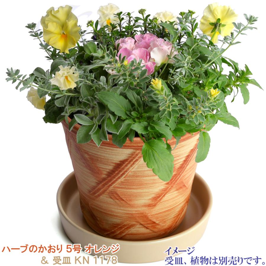 植木鉢 おしゃれ 安い 陶器 サイズ 16cm ハーブのかおり 5号 オレンジ 室内 屋外 レンガ 色 |  | 13