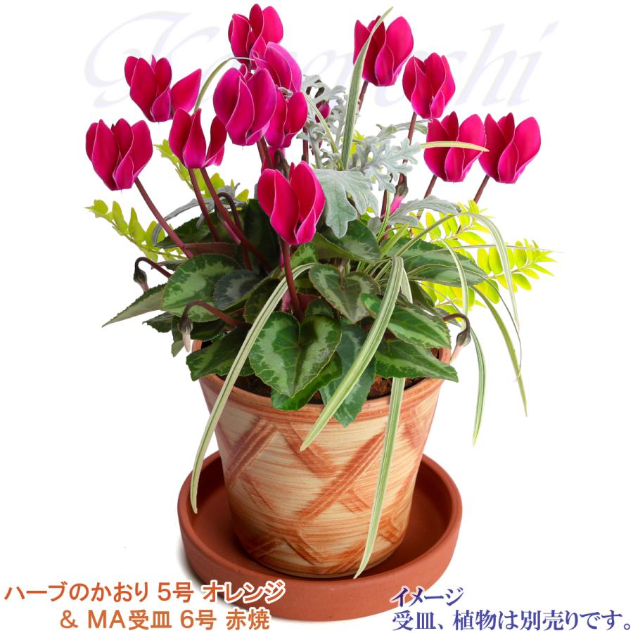 植木鉢 おしゃれ 安い 陶器 サイズ 16cm ハーブのかおり 5号 オレンジ 室内 屋外 レンガ 色 |  | 14