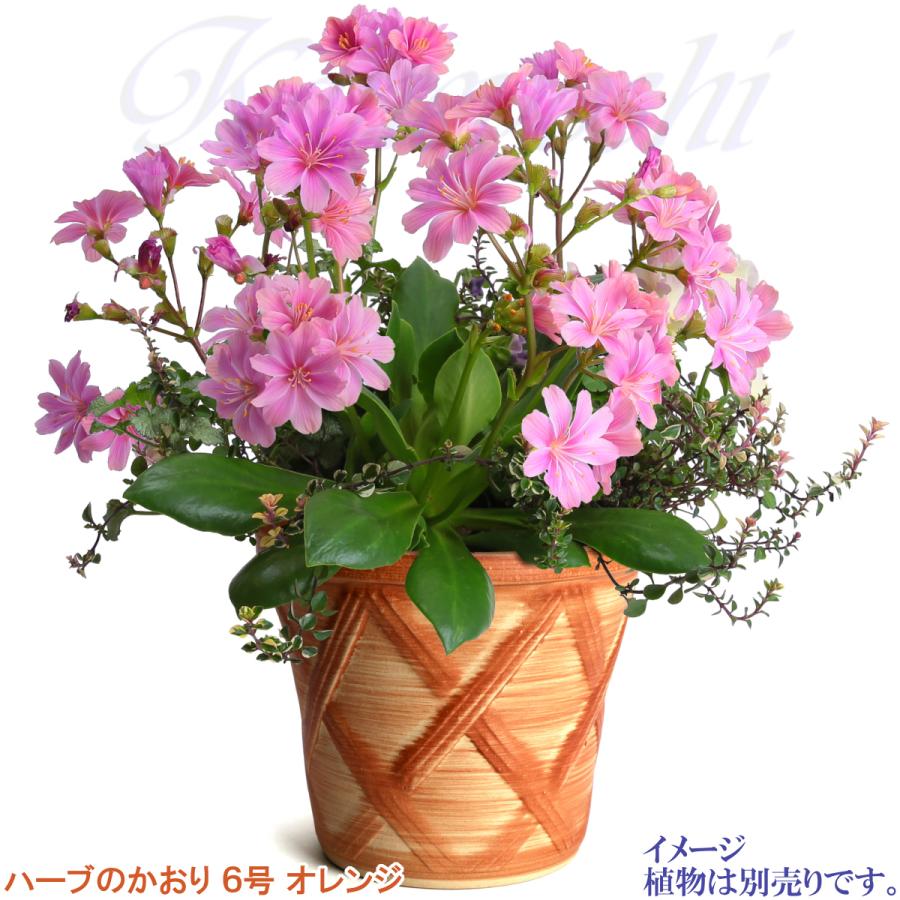 植木鉢 おしゃれ 安い 陶器 サイズ 19cm ハーブのかおり 6号 オレンジ 室内 屋外 レンガ 色 |  | 10
