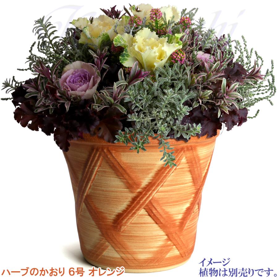 植木鉢 おしゃれ 安い 陶器 サイズ 19cm ハーブのかおり 6号 オレンジ 室内 屋外 レンガ 色 |  | 12