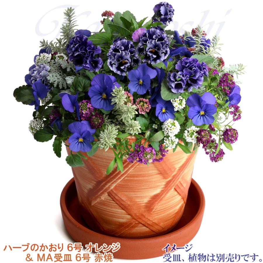 植木鉢 おしゃれ 安い 陶器 サイズ 19cm ハーブのかおり 6号 オレンジ 室内 屋外 レンガ 色 |  | 14