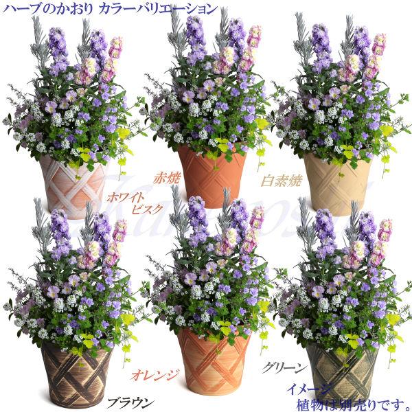植木鉢 おしゃれ 安い 陶器 サイズ 19cm ハーブのかおり 6号 オレンジ 室内 屋外 レンガ 色 |  | 15