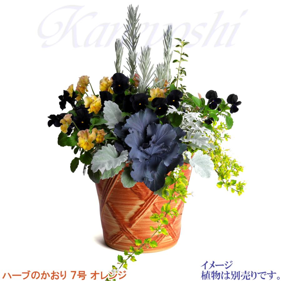 植木鉢 おしゃれ 安い 陶器 サイズ 23cm ハーブのかおり 7号 オレンジ 室内 屋外 レンガ 色 |  | 11