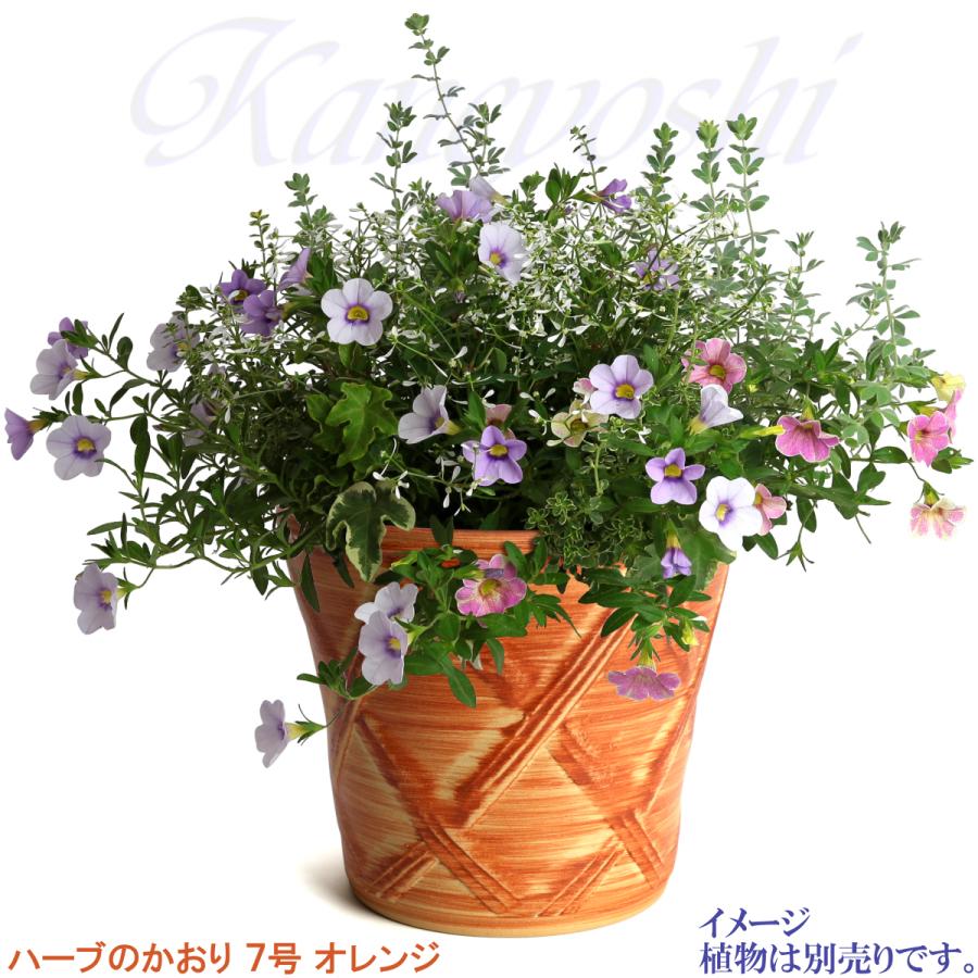 植木鉢 おしゃれ 安い 陶器 サイズ 23cm ハーブのかおり 7号 オレンジ 室内 屋外 レンガ 色 |  | 12