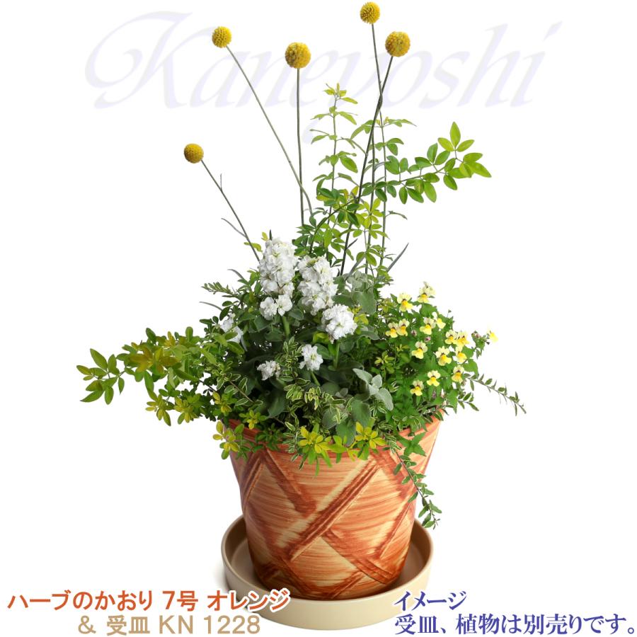 植木鉢 おしゃれ 安い 陶器 サイズ 23cm ハーブのかおり 7号 オレンジ 室内 屋外 レンガ 色 |  | 13
