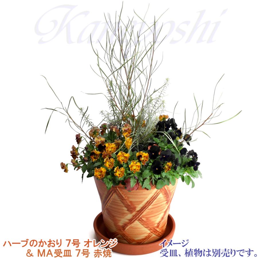 植木鉢 おしゃれ 安い 陶器 サイズ 23cm ハーブのかおり 7号 オレンジ 室内 屋外 レンガ 色 |  | 14