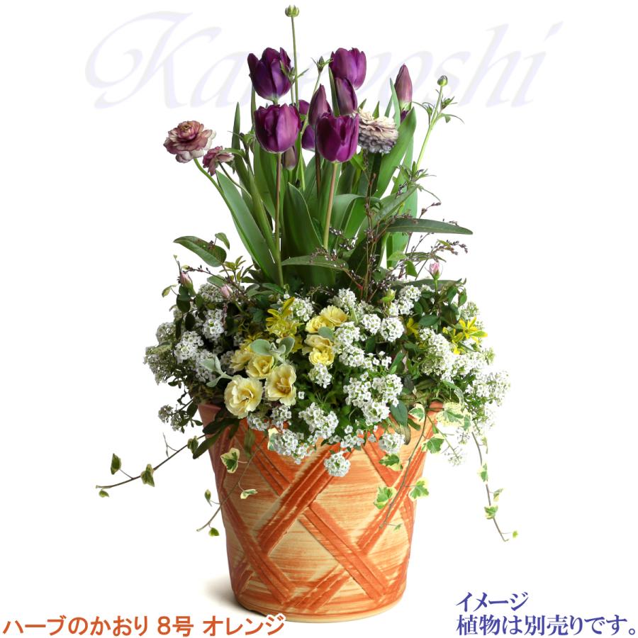 植木鉢 おしゃれ 安い 陶器 サイズ 25cm ハーブのかおり 8号 オレンジ 室内 屋外 レンガ 色 |  | 10