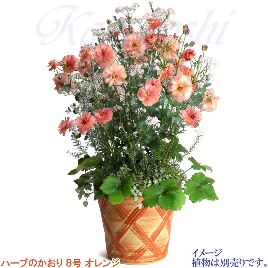 植木鉢 おしゃれ 安い 陶器 サイズ 25cm ハーブのかおり 8号 オレンジ 室内 屋外 レンガ 色 |  | 11