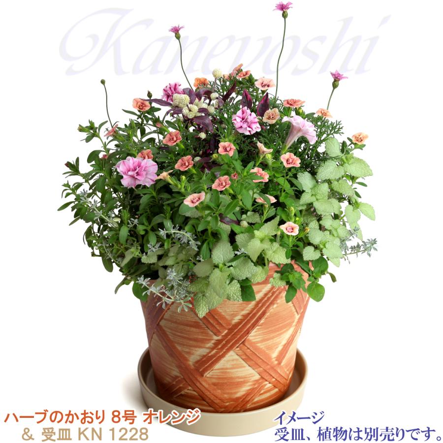 植木鉢 おしゃれ 安い 陶器 サイズ 25cm ハーブのかおり 8号 オレンジ 室内 屋外 レンガ 色 |  | 13