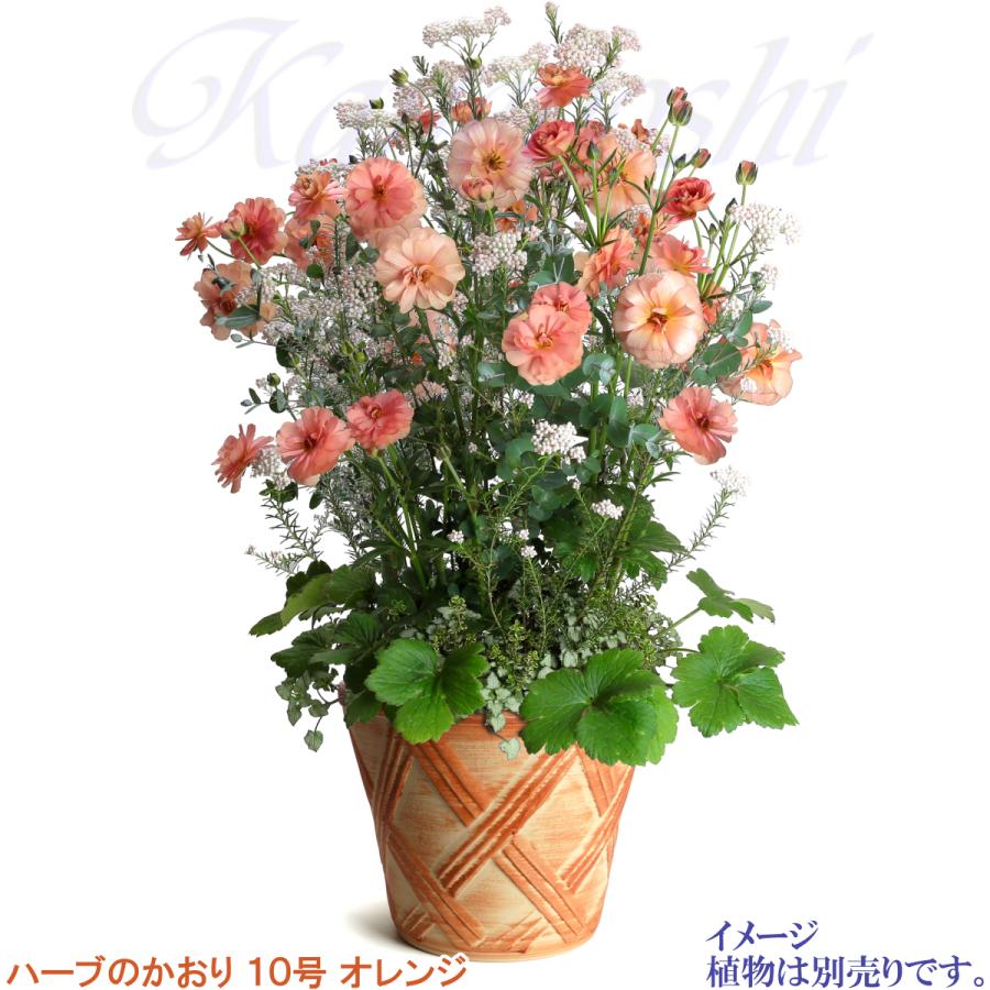 植木鉢 おしゃれ 安い 陶器 サイズ 32cm ハーブのかおり 10号 オレンジ 室内 屋外 レンガ 色 |  | 10