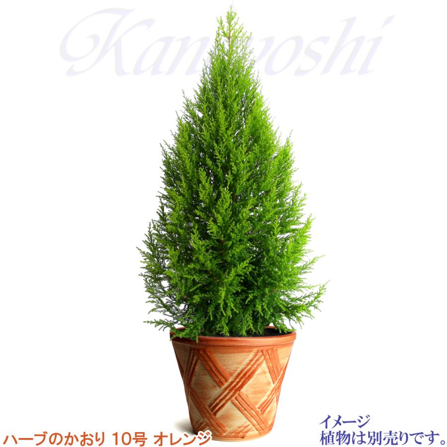 植木鉢 おしゃれ 安い 陶器 サイズ 32cm ハーブのかおり 10号 オレンジ 室内 屋外 レンガ 色 |  | 11