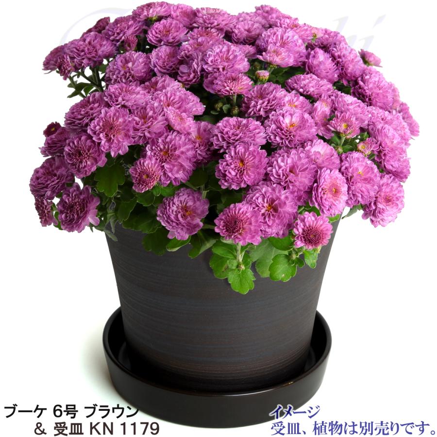 植木鉢 おしゃれ 安い 陶器 サイズ 19cm ブーケ 6号 ブラウン 室内 屋外 茶 色 |  | 11