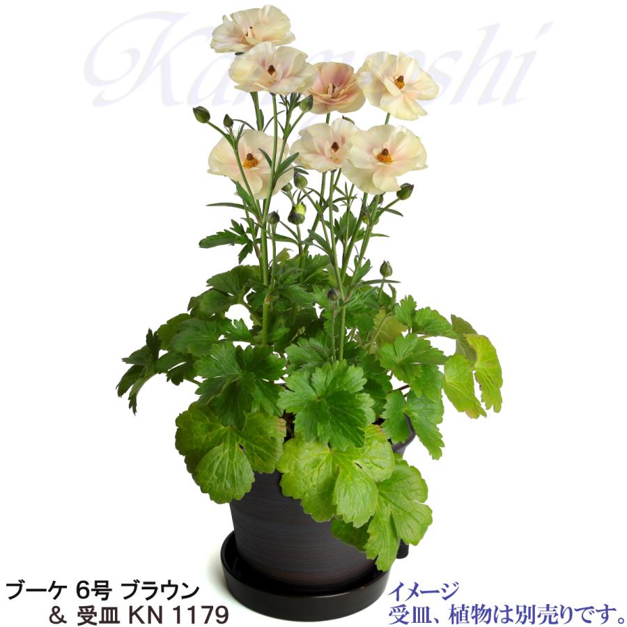 植木鉢 おしゃれ 安い 陶器 サイズ 19cm ブーケ 6号 ブラウン 室内 屋外 茶 色 |  | 13
