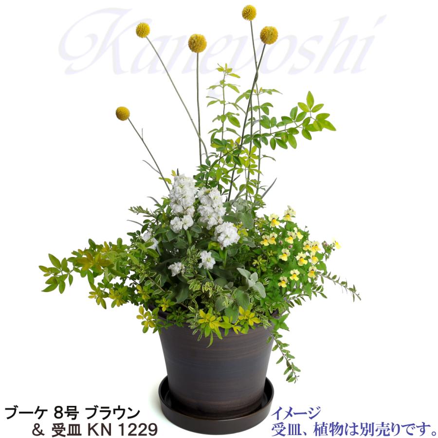 植木鉢 おしゃれ 安い 陶器 サイズ 25.5cm ブーケ 8号 ブラウン 室内 屋外 茶 色 |  | 12