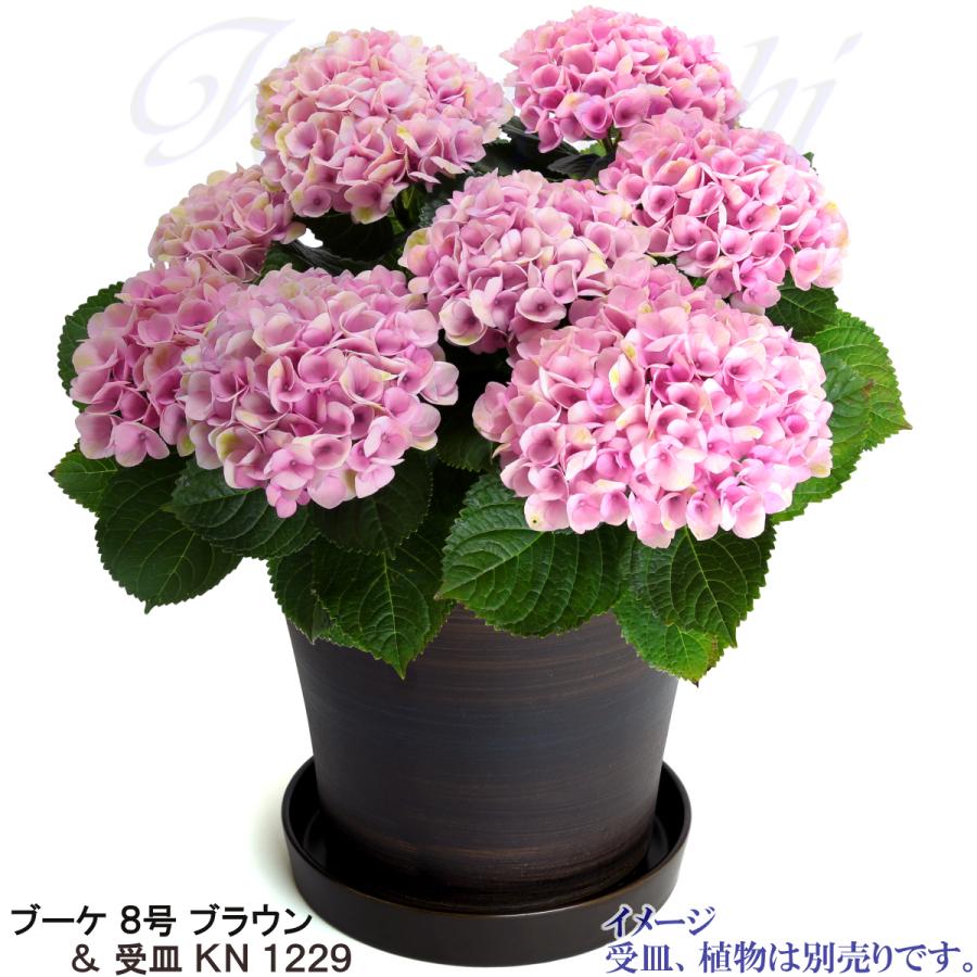 植木鉢 おしゃれ 安い 陶器 サイズ 25.5cm ブーケ 8号 ブラウン 室内 屋外 茶 色 |  | 13