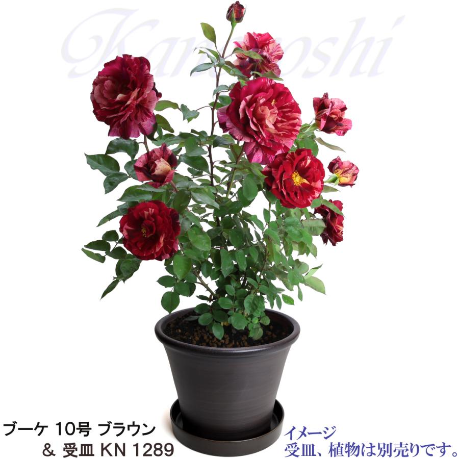 植木鉢 おしゃれ 安い 陶器 サイズ 32cm ブーケ 10号 ブラウン 室内 屋外 茶 色 |  | 13