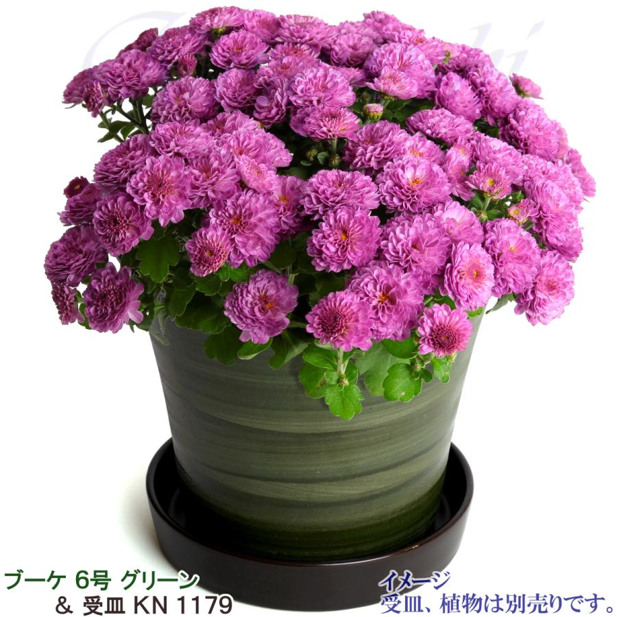 植木鉢 おしゃれ 安い 陶器 サイズ 20cm ブーケ 6号 グリーン 室内 屋外 緑 色 |  | 10