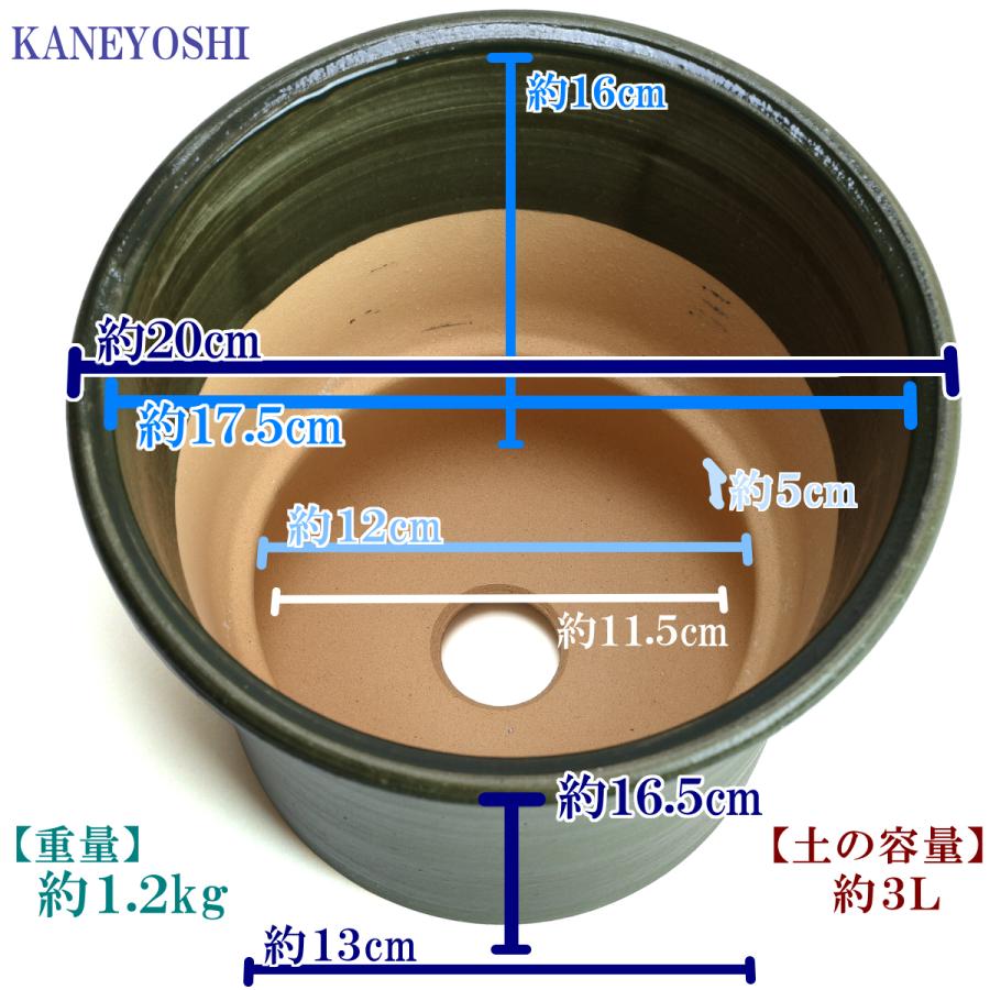 植木鉢 おしゃれ 安い 陶器 サイズ 20cm ブーケ 6号 グリーン 室内 屋外 緑 色 |  | 03