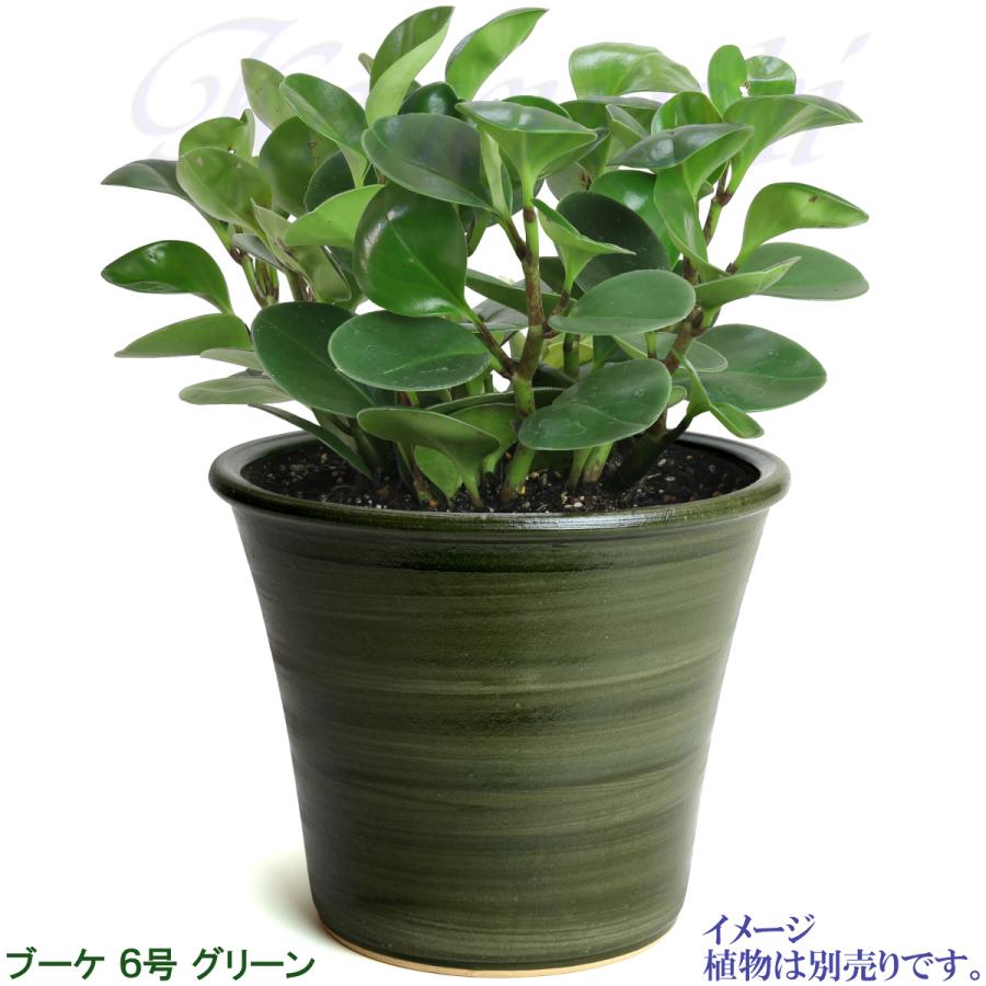 植木鉢 おしゃれ 安い 陶器 サイズ 20cm ブーケ 6号 グリーン 室内 屋外 緑 色 |  | 08