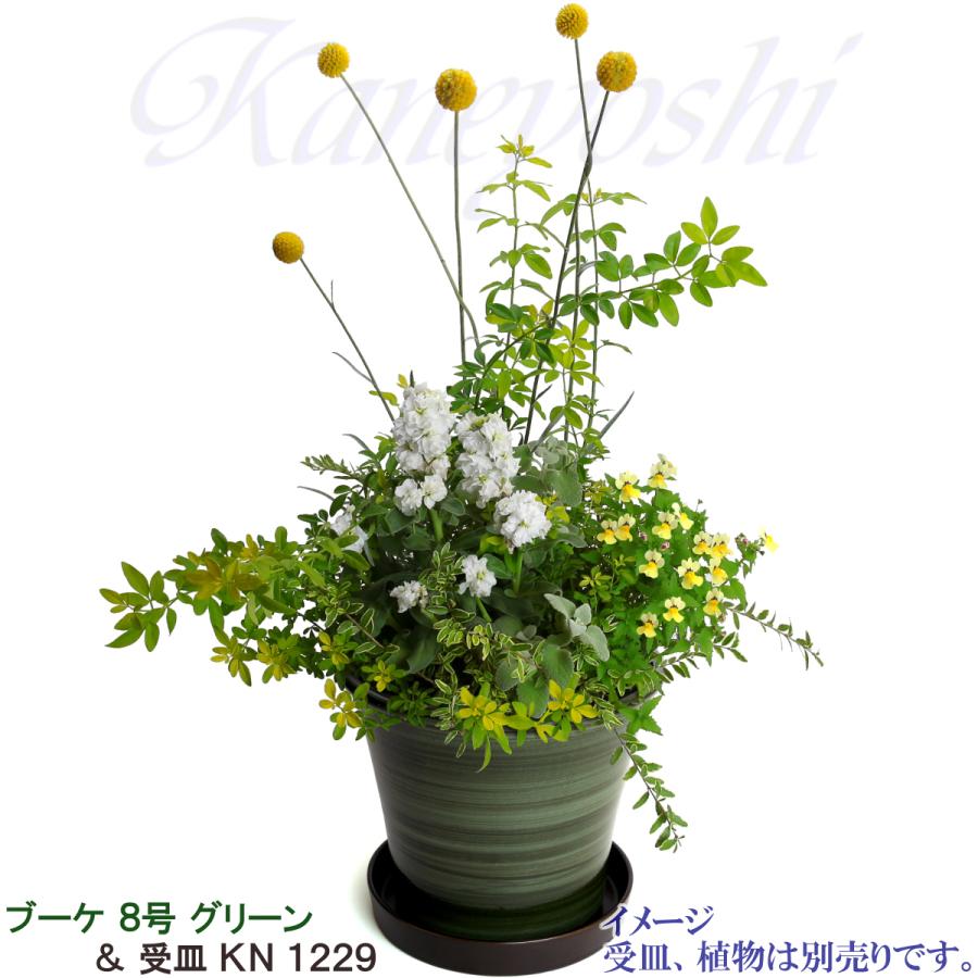 植木鉢 おしゃれ 安い 陶器 サイズ 26cm ブーケ 8号 グリーン 室内 屋外 緑 色 |  | 10
