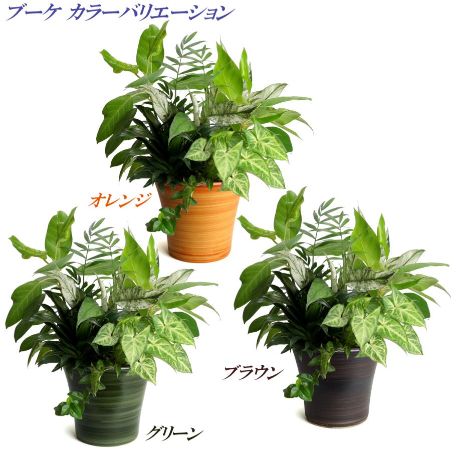 植木鉢 おしゃれ 安い 陶器 サイズ 26cm ブーケ 8号 グリーン 室内 屋外 緑 色 |  | 12