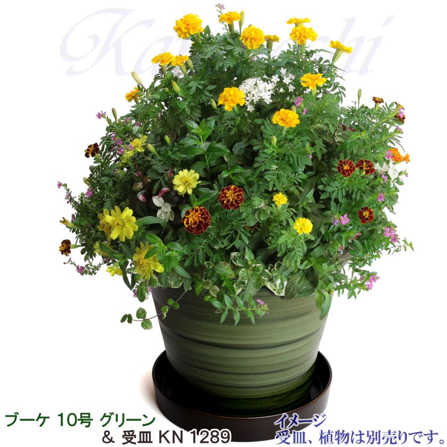植木鉢 おしゃれ 安い 陶器 サイズ 32cm ブーケ 10号 グリーン 室内 屋外 緑 色 |  | 10