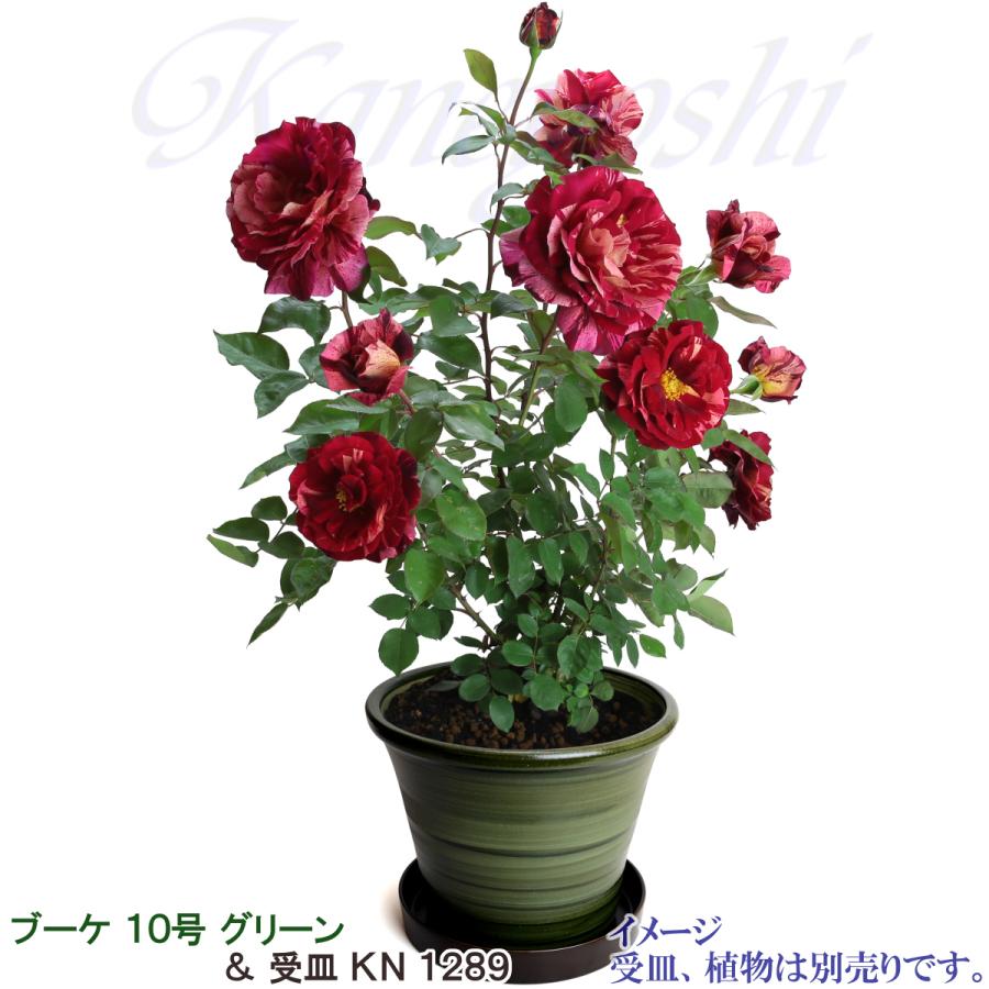 植木鉢 おしゃれ 安い 陶器 サイズ 32cm ブーケ 10号 グリーン 室内 屋外 緑 色 |  | 11