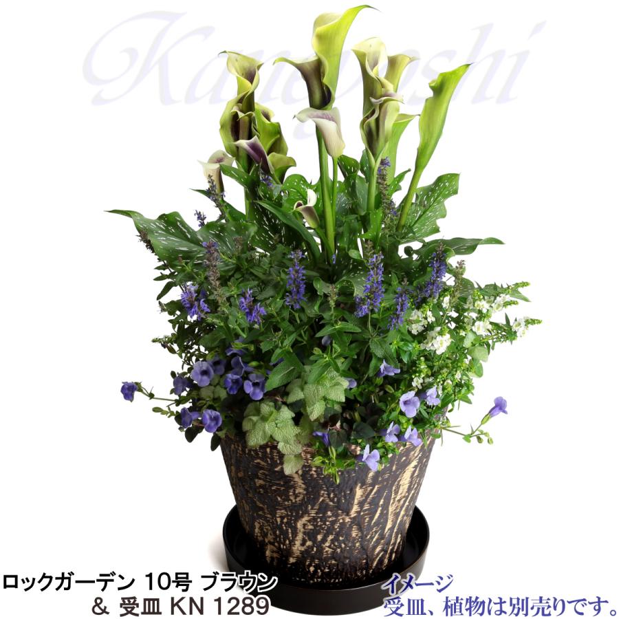 植木鉢 おしゃれ 安い 陶器 サイズ 33cm ロックガーデン 10号 ブラウン 室内 屋外 茶 色 |  | 11