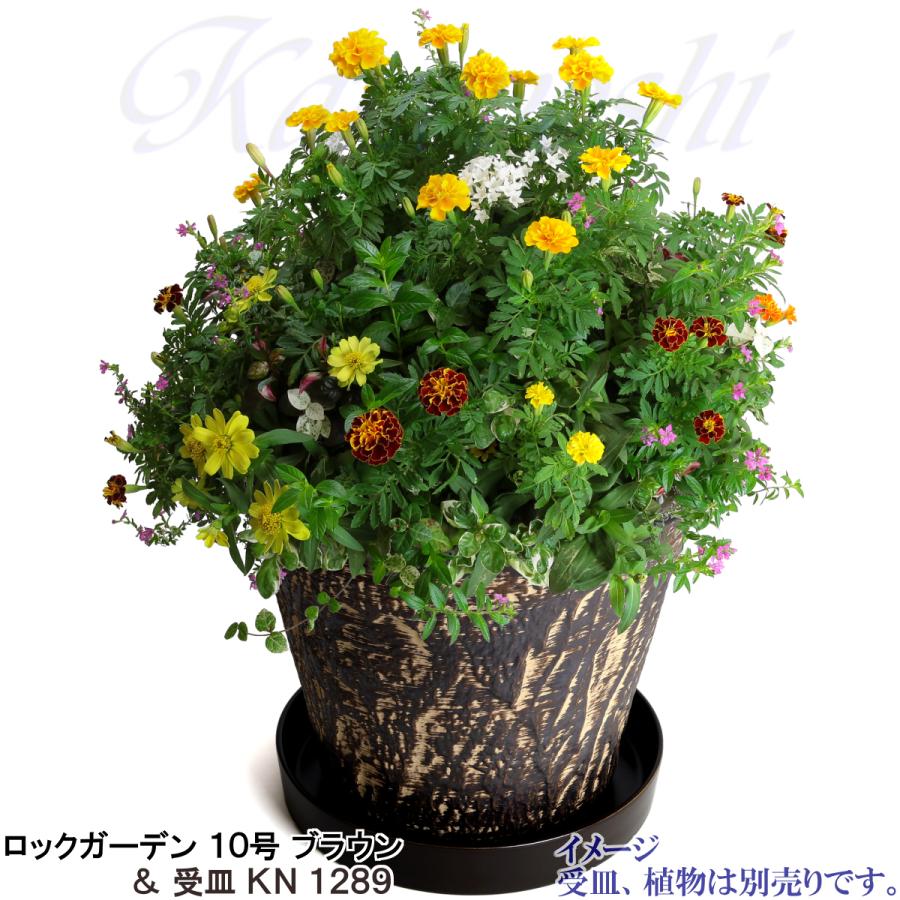 植木鉢 おしゃれ 安い 陶器 サイズ 33cm ロックガーデン 10号 ブラウン 室内 屋外 茶 色 |  | 12
