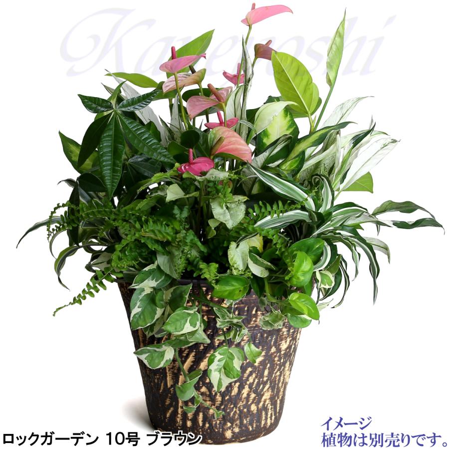 植木鉢 おしゃれ 安い 陶器 サイズ 33cm ロックガーデン 10号 ブラウン 室内 屋外 茶 色 |  | 07