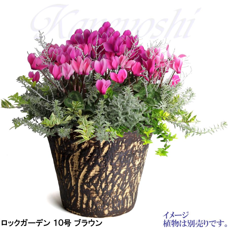 植木鉢 おしゃれ 安い 陶器 サイズ 33cm ロックガーデン 10号 ブラウン 室内 屋外 茶 色 |  | 09