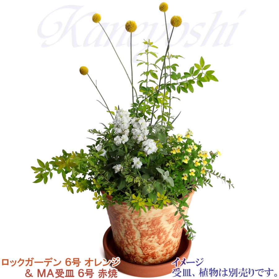植木鉢 おしゃれ 安い 陶器 サイズ 19cm ロックガーデン 6号 オレンジ 室内 屋外 レンガ 色 |  | 10