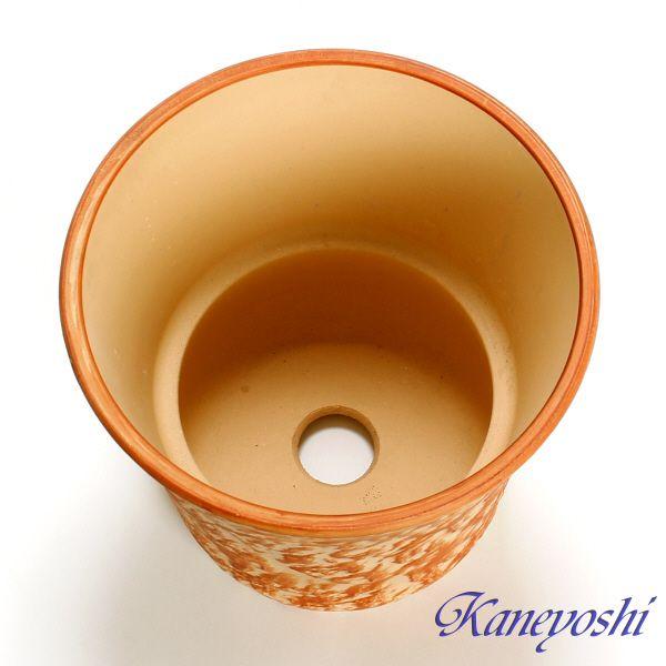 植木鉢 おしゃれ 安い 陶器 サイズ 19cm ロックガーデン 6号 オレンジ 室内 屋外 レンガ 色 |  | 02