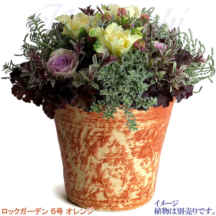植木鉢 おしゃれ 安い 陶器 サイズ 19cm ロックガーデン 6号 オレンジ 室内 屋外 レンガ 色 |  | 07