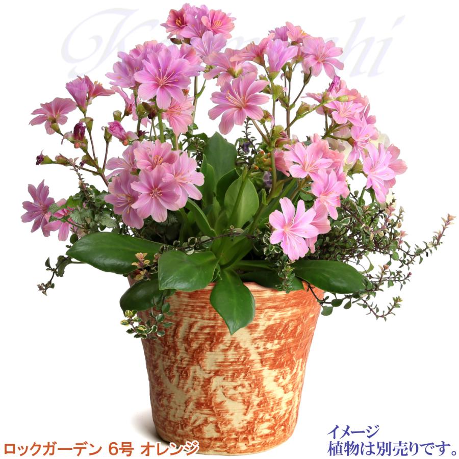 植木鉢 おしゃれ 安い 陶器 サイズ 19cm ロックガーデン 6号 オレンジ 室内 屋外 レンガ 色 |  | 08