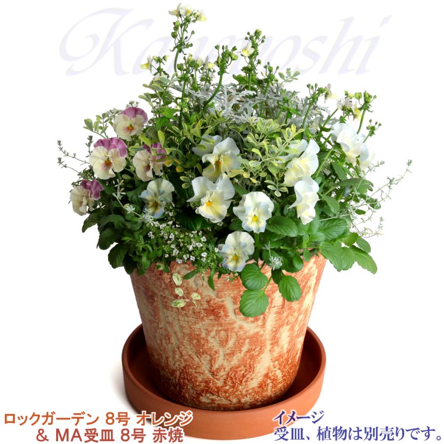 植木鉢 おしゃれ 安い 陶器 サイズ 26cm ロックガーデン 8号 オレンジ 室内 屋外 レンガ 色 |  | 11