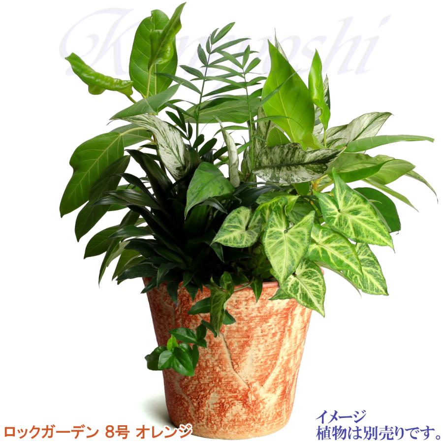 植木鉢 おしゃれ 安い 陶器 サイズ 26cm ロックガーデン 8号 オレンジ 室内 屋外 レンガ 色 |  | 08