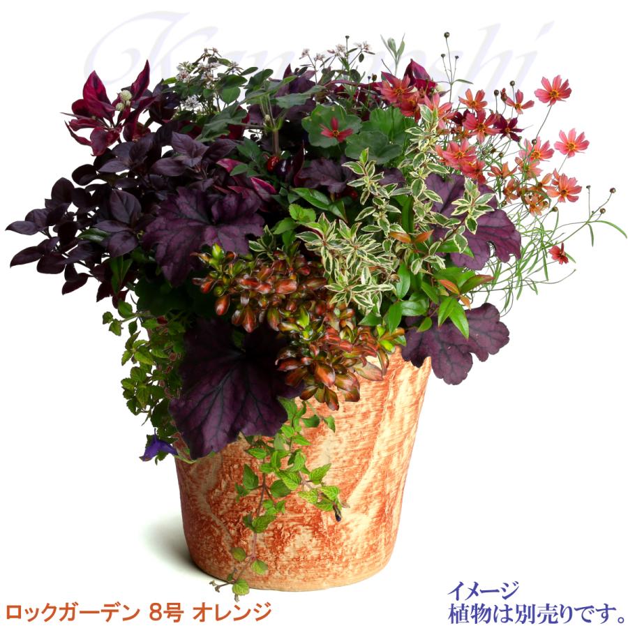 植木鉢 おしゃれ 安い 陶器 サイズ 26cm ロックガーデン 8号 オレンジ 室内 屋外 レンガ 色 |  | 09