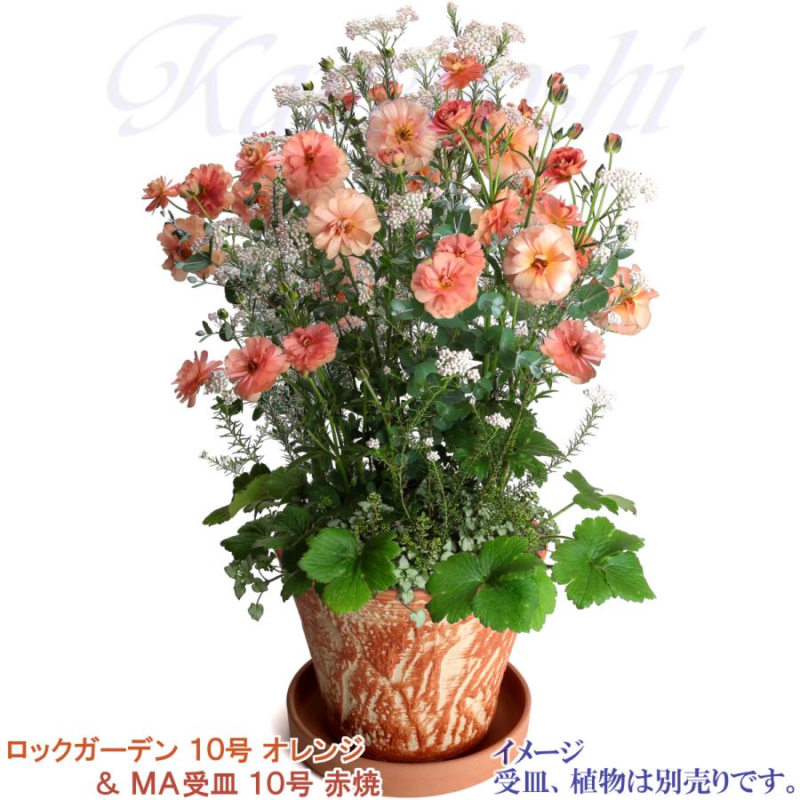 植木鉢 おしゃれ 安い 陶器 サイズ 32cm ロックガーデン 10号 オレンジ 室内 屋外 レンガ 色 |  | 10