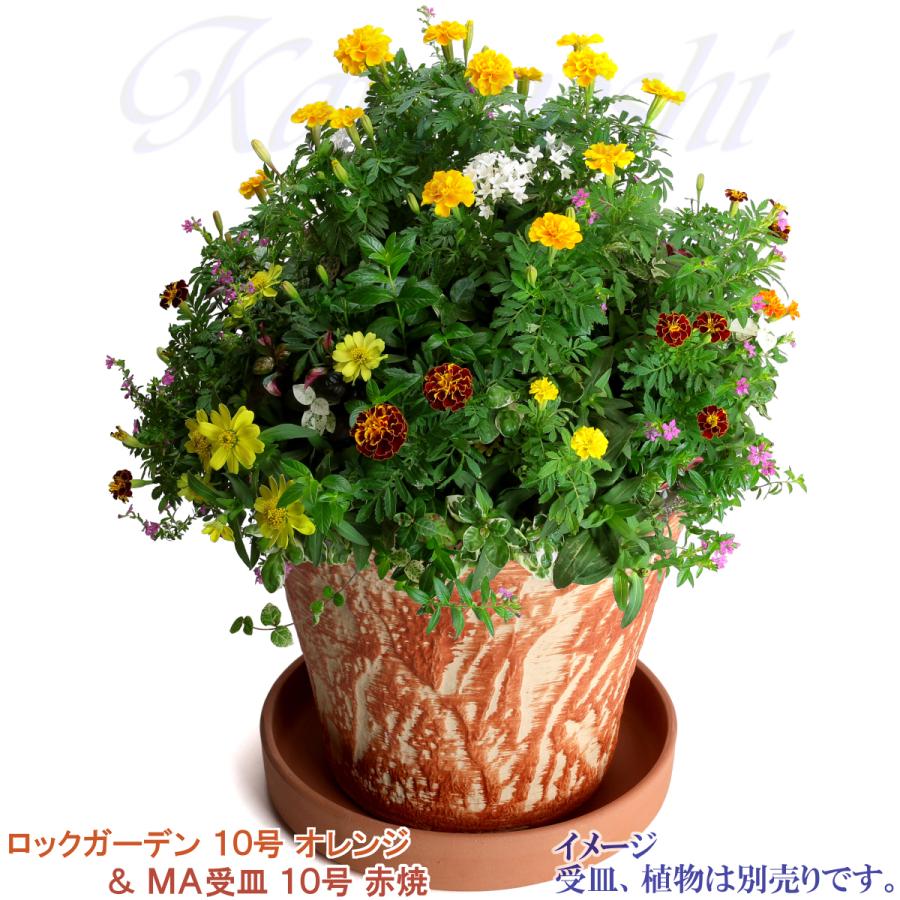植木鉢 おしゃれ 安い 陶器 サイズ 32cm ロックガーデン 10号 オレンジ 室内 屋外 レンガ 色 |  | 11