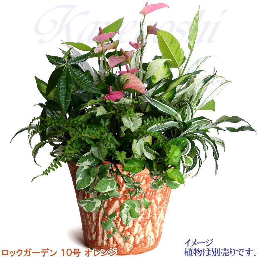 植木鉢 おしゃれ 安い 陶器 サイズ 32cm ロックガーデン 10号 オレンジ 室内 屋外 レンガ 色 |  | 07