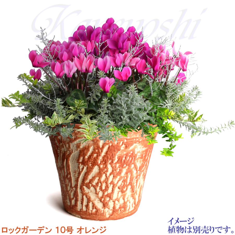植木鉢 おしゃれ 安い 陶器 サイズ 32cm ロックガーデン 10号 オレンジ 室内 屋外 レンガ 色 |  | 09