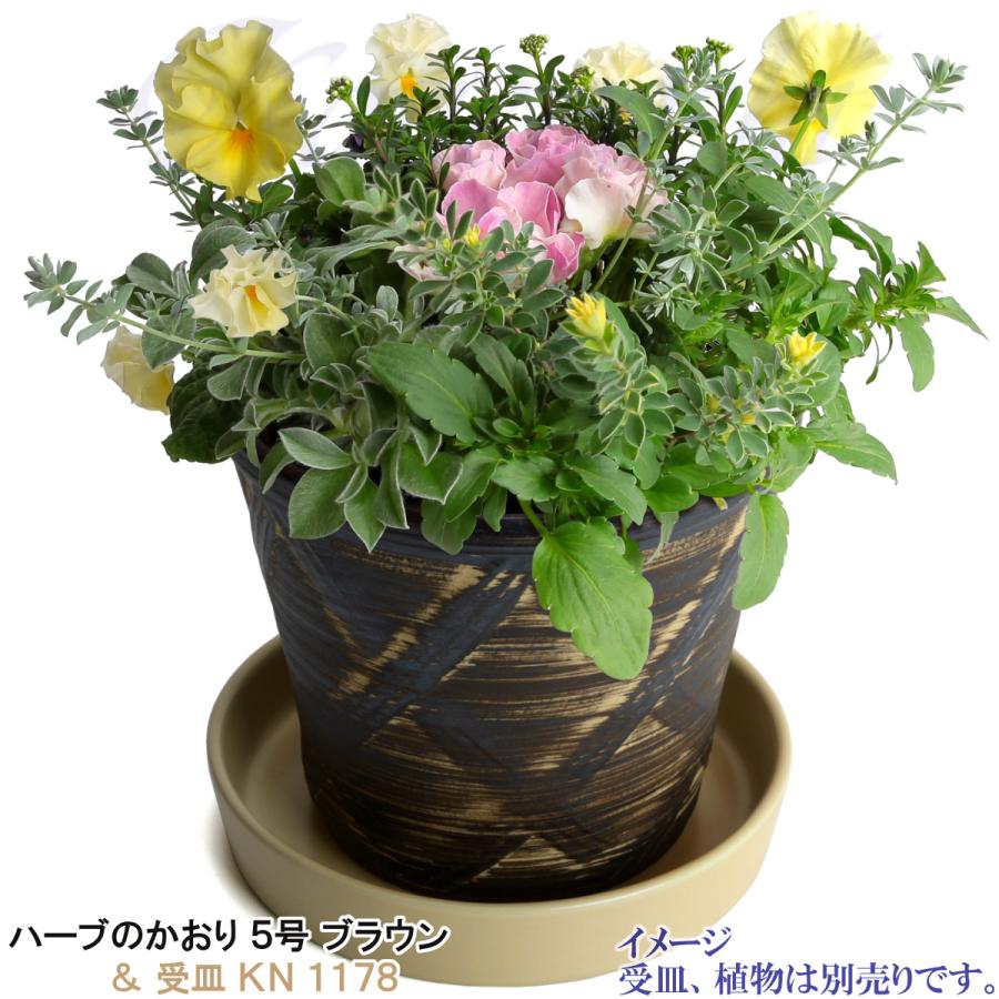 植木鉢 おしゃれ 安い 陶器 サイズ 16cm ハーブのかおり 5号 ブラウン 室内 屋外 茶 色 |  | 10